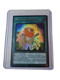 🔥Yugioh! Naturia Blessing MP23-EN204 Ultra Rare 1st Ed NM - Image 1