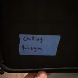 Pokemon TCG Chilling Reign Binder Card Lot Holo/Foil V VMAX Ice Rider Calyrex - Image 2