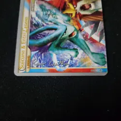 Pokemon Suicune & Entei Legend World Championship 2011, 94/95 95/95 (both cards) - Image 4