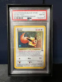 2000 Pokemon Black Star Evee - Holo Promo - Pokemon League #11 PSA 8 NM-MT - Image 1