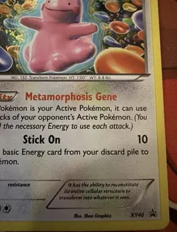 Ditto XY40 XY Black Star Promos Holo Pokemon Trading Card TCG - Image 3