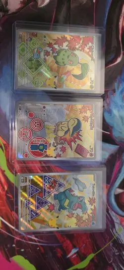 Pokemon TCG First Partners Illustration Collection Series 2 Gen 2 - Image 1