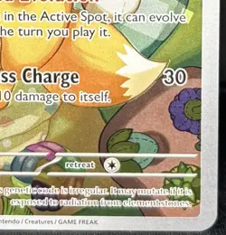 Eevee Full Art Black Star Promo SVP 173 Shining Fates Pokemon TCG - Image 5