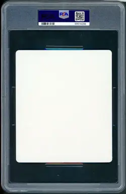 PSA 10 Shadow Lugia Japanese XD Gale of Darkness Lenticular Promo Pokemon Eevee - Image 2