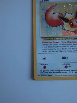 Pokemon Cards | EEVEE 11 | HOLO | Black Star Promo | Wizards of the Coast | TCG - Image 5