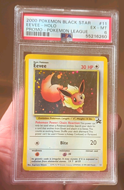 Pokemon TCG Eevee WotC Promo Holo Pokemon League #11 PSA 6 2000 ENG - Image 1