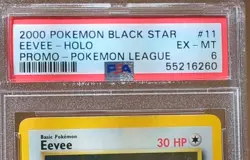 Pokemon TCG Eevee WotC Promo Holo Pokemon League #11 PSA 6 2000 ENG - Image 2