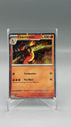 Charizard ex SVP 161 Charmander & Chameleon - Black Star Promo - Pokemon TCG& - Image 3