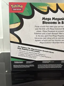 Pokemon TCG Ascended Heroes Mega Meganium EX box Brand New Factory Sealed - Image 3