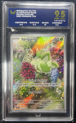 Pokemon TCG - Sprigatito Illustration Rare SV02 - Paldea Evolved 196/193 ARK 9.5 - Image 1