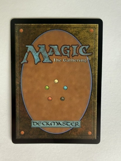 Dour Port-Mage - #47 (showcase) -Bloomburrow BLB - NM - Magic The Gathering - Image 2
