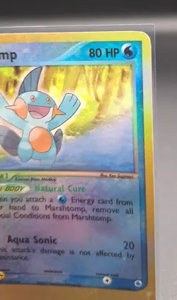 Marshtomp - EX Ruby & Sapphire 41/109 2003 - E Reader - Pokemon - Reverse Holo - Image 3