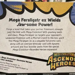 Pokemon TCG Ascended Heroes Mega Feraligatr ex Box Promo Booster EN 2025 - Image 3