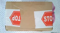 Magic: The Gathering - Bloomburrow (BLC) - Sealed Commander Deck Case Display - Image 5