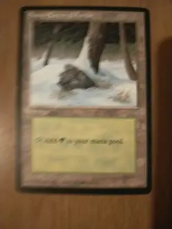 10 Snow-covered lands from Magic: the Gathering: Ice Age - Image 3