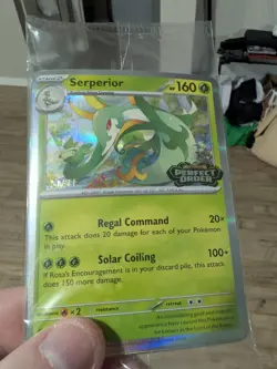 Pokemon Perfect Order Prerelease Staff Promos - 4 cards Sealed MEP 064-067 - Image 1