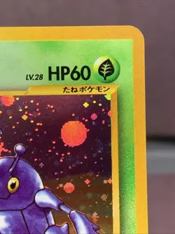 Pokemon TCG Japanese Heracross No. 214 Neo Genesis Holo Rare VTG WOTC Era NM - Image 3