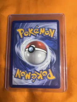 Pokemon Swinub 165/159 Crown Zenith Full Art Holo Near Mint - Image 2