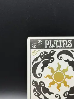 MTG Secret Lair Plains #0888 SLD0888 Bonus Card Foil - Image 2