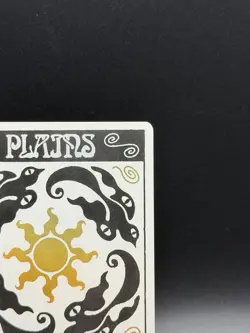 MTG Secret Lair Plains #0888 SLD0888 Bonus Card Foil - Image 3