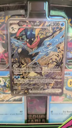 Pokemon TCG Shrouded Fable Greninja ex Special Illustration Collection Box - Image 3
