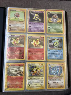 Pokemon Cards - Vintage Binder, Holos, Skyridge, 1st Edition, XY Reverse Holos - Image 1