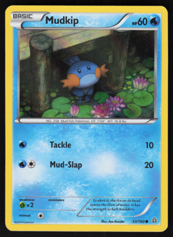 Pokemon TCG - Primal Clash - Mudkip 33/160 Holo - NM - Image 1