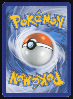 Pokemon TCG - Primal Clash - Mudkip 33/160 Holo - NM - Image 2