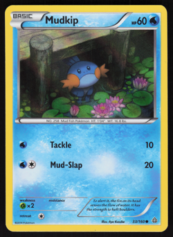 Pokemon TCG - Primal Clash - Mudkip 33/160 Holo - NM - Image 1