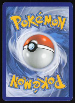 Pokemon TCG - Primal Clash - Mudkip 33/160 Holo - NM - Image 2