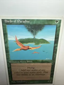MTG Birds of Paradise Alternate 4th Edition Regular Rare 1995 MTG Card MP/LP - Image 2