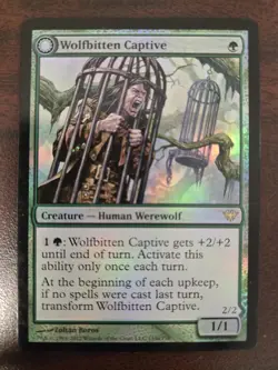Wolfbitten Captive MP FOIL Dark Ascension MTG FREE SHIPPING - Image 1