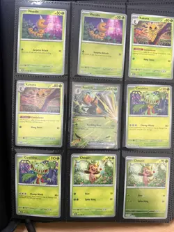 Pokemon Chaos Rising Complete Master Base Set including all reverse holo and EX - Image 1