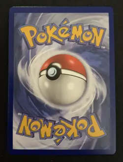Torkoal V 024/202 Sword & Shield Base Ultra Rare Holo Pokemon TCG Card NM - Image 2