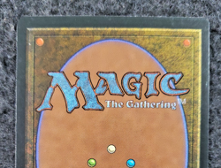 Kjeldoran Royal Guard (NM) Ice Age ICE Magic MTG (DS3D1K9) - Image 4