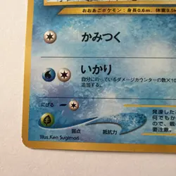 Pokemon TCG Neo Genesis Totodile No. 158 Premium File Promo Japanese Card NM - Image 5