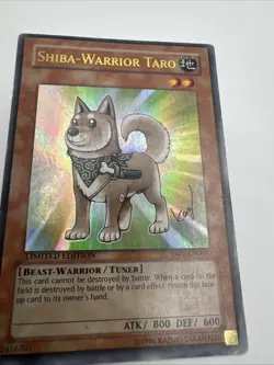 Yugioh! Shiba-Warrior Taro - YAP1-EN008 - Ultra Rare - Limited Edition MP - Image 3