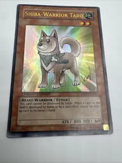 Yugioh! Shiba-Warrior Taro - YAP1-EN008 - Ultra Rare - Limited Edition MP - Image 4