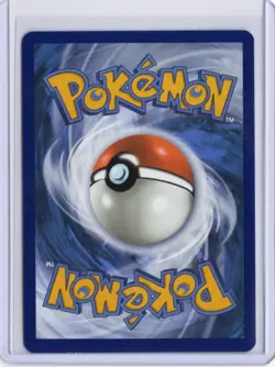 Pokemon Scarlet & Violet Promo Eevee 173 Holo Promo NM - Image 2