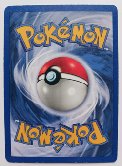 Kangaskhan Pokemon Card Holo WOTC 5/64 Jungle Set Rare Vintage 1999 Original LP - Image 2
