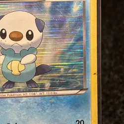 Pokemon 2011 TCG Oshawott Black White Black Star Promo Holo Card No. BW03 - Image 4