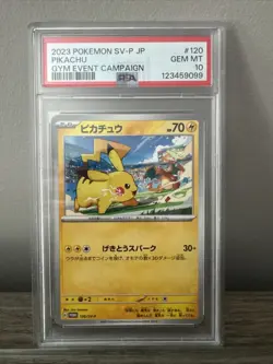 2023 Pokemon Japanese Pikachu Gym Event Champaign PSA GEM MINT 10 #120 - Image 1