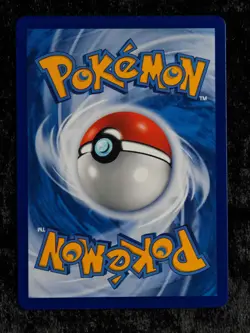 Pokemon Card Charizard & Braixen GX 084/061 HR CSM2.5C S-Chinese NM - Image 2