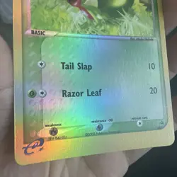 Pokemon Card - Treecko Black Star Promo 003 Reverse Holo LP++ X3 - Image 5