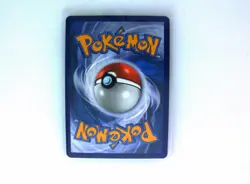 Pokemon Chatot Illustration Rare 181/162 SV05 Temporal Forces Holo 70 HP English - Image 2
