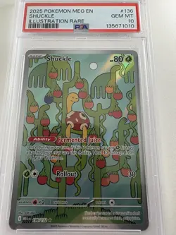 🐢🍻Pokemon Shuckle 136/132 ME01 Mega Evolution Illustration Rare Holo EN PSA 10 - Image 3