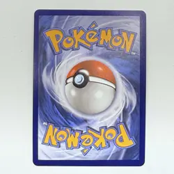 Shuckle - 136/132 - Illustration Rare - Mega Evolution - EN Pokemon Card - NM - Image 4
