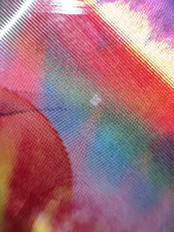 Charizard Pokemon Carddass Zukan Card EVO 3D-lenticular Nintendo Bandai Japanese - Image 4