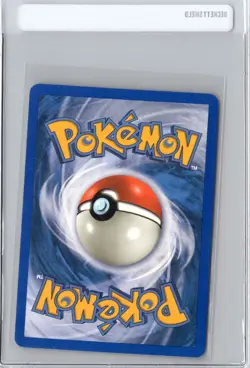 Swinub 108/144 Pokemon TCG Skyridge Non Holo 2003 WOTC e‑Reader NM/VLP - Image 2