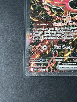 Pokemon TCG Oricorio ex #024 Mega Evolution Black Star Promo Holo NM - Image 4